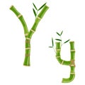 Bamboo letter Y