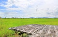 Bamboo litter and landscape view young green paddy fields with sky and mountains in the background Royalty Free Stock Photo