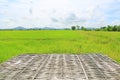 Bamboo litter and landscape view young green paddy fields with sky and mountains in the background Royalty Free Stock Photo