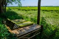 Bamboo litter in rice field