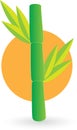 Bamboo logo