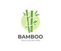 Bamboo logo template. Green bamboo trees vector design