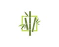 Bamboo Logo Template vector icon