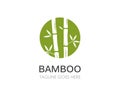 Bamboo logo vector icon