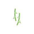 Bamboo logo vector icon illustration