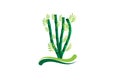 Bamboo lucky plant logo vector