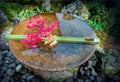 Bamboo And maple in a basin