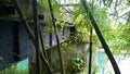 Moko Bridge on the Guava River in Guadeloupe