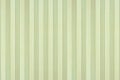 Bamboo natural wood texture pattern background vertical plank stripe in light yellow cream beige brown color Royalty Free Stock Photo