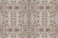 Bamboo old weave wall texture beautiful pattern background Royalty Free Stock Photo