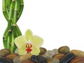 Bamboo orchid and Zen rocks Background Royalty Free Stock Photo