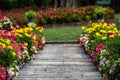 Bamboo pathway between flowers garden