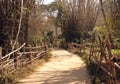 Bamboo Pathway through Kuruva Island