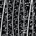 Bamboo pattern background. Seamless black and white decorative bamboo branches wallpaper Royalty Free Stock Photo