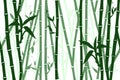 316_Chinese or Japanese bamboo grass oriental wallpaper vector illustration Royalty Free Stock Photo