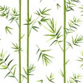 Bamboo pattern. Japanese seamless texture with vertical tree trunks and leaves. Chinese wallpaper template or decorative