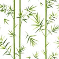 Bamboo pattern. Japanese seamless texture with vertical tree trunks and leaves. Chinese wallpaper template or decorative oriental
