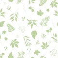 Autumn green leaves silhouettes seamless vector pattern with white background. Royalty Free Stock Photo