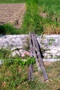 Bamboo pedestrian bridge