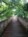 Bamboo pedestrian suspension bridge close up background in Hungary