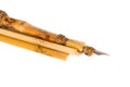 Bamboo pen Royalty Free Stock Photo