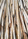 Bamboo pile Royalty Free Stock Photo