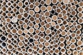 bamboo pile stacked vertically create texture wall background. Circle in front of pipes pattern Royalty Free Stock Photo
