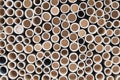bamboo pile stacked vertically create texture wall background. Circle in front of pipes pattern Royalty Free Stock Photo