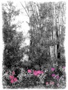 Bamboo and Pink Flowers Pencil Sketch