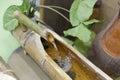 Bamboo pipe for interior decoration Royalty Free Stock Photo