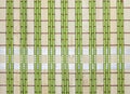 Bamboo placemat background .bamboo green tablecloths