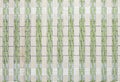 Bamboo placemat background, bamboo green tablecloths