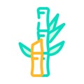 bamboo plant color icon vector illustration