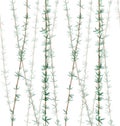 Bamboo plant leaves pattern