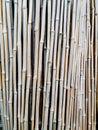 Bamboo poles background texture that tiles seamlessly as a pattern. Royalty Free Stock Photo