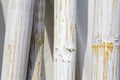 Bamboo poles, closeup Royalty Free Stock Photo