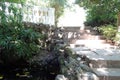 Bamboo, pond, steps and fence in the botanical garden