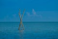 Bamboo prick in the sea is one of the tools in fishing Royalty Free Stock Photo