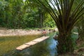 Bamboo raft on green tropical river