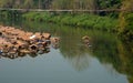 A bamboo raft on the Nan River in Hardpharkon village, nan province, Thailand Royalty Free Stock Photo