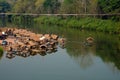 A bamboo raft on the Nan River in Hardpharkon village, nan province, Thailand Royalty Free Stock Photo