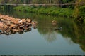 A bamboo raft on the Nan River in Hardpharkon village, nan province, Thailand Royalty Free Stock Photo