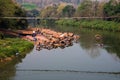 A bamboo raft on the Nan River in Hardpharkon village, nan province, Thailand Royalty Free Stock Photo