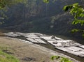 Bamboo rafts