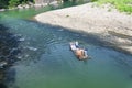 Nine bend River bamboo raft wuyishan china Royalty Free Stock Photo