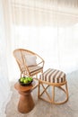 Bamboo rattan furniture