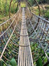 Bamboo reeds bridge garden Royalty Free Stock Photo