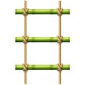 Bamboo rope ladder