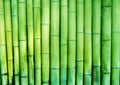 Bamboo rustic wall fence textured background