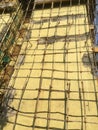 Bamboo Scaffolding on twenty five year old four storey building gating structural Repair work